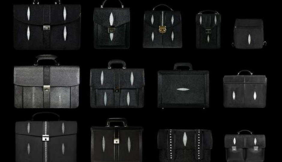 Exclusive Briefcases Mix Stingray 02 sizeA
